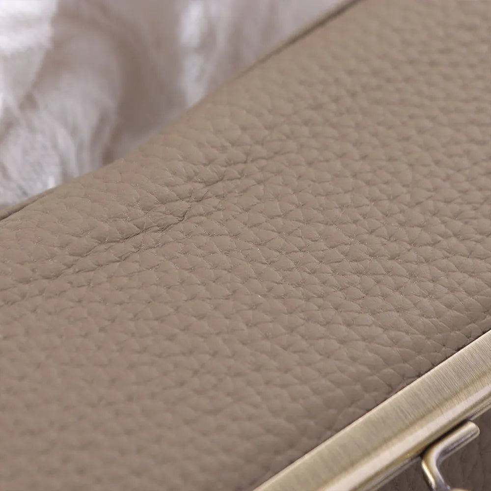 The Aurelia Case